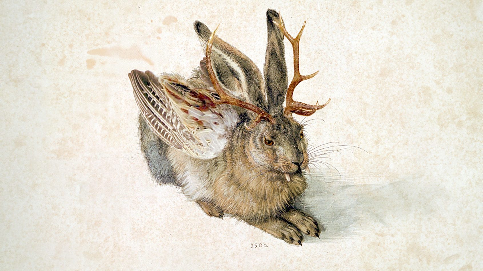 Wolpertinger Illustration
