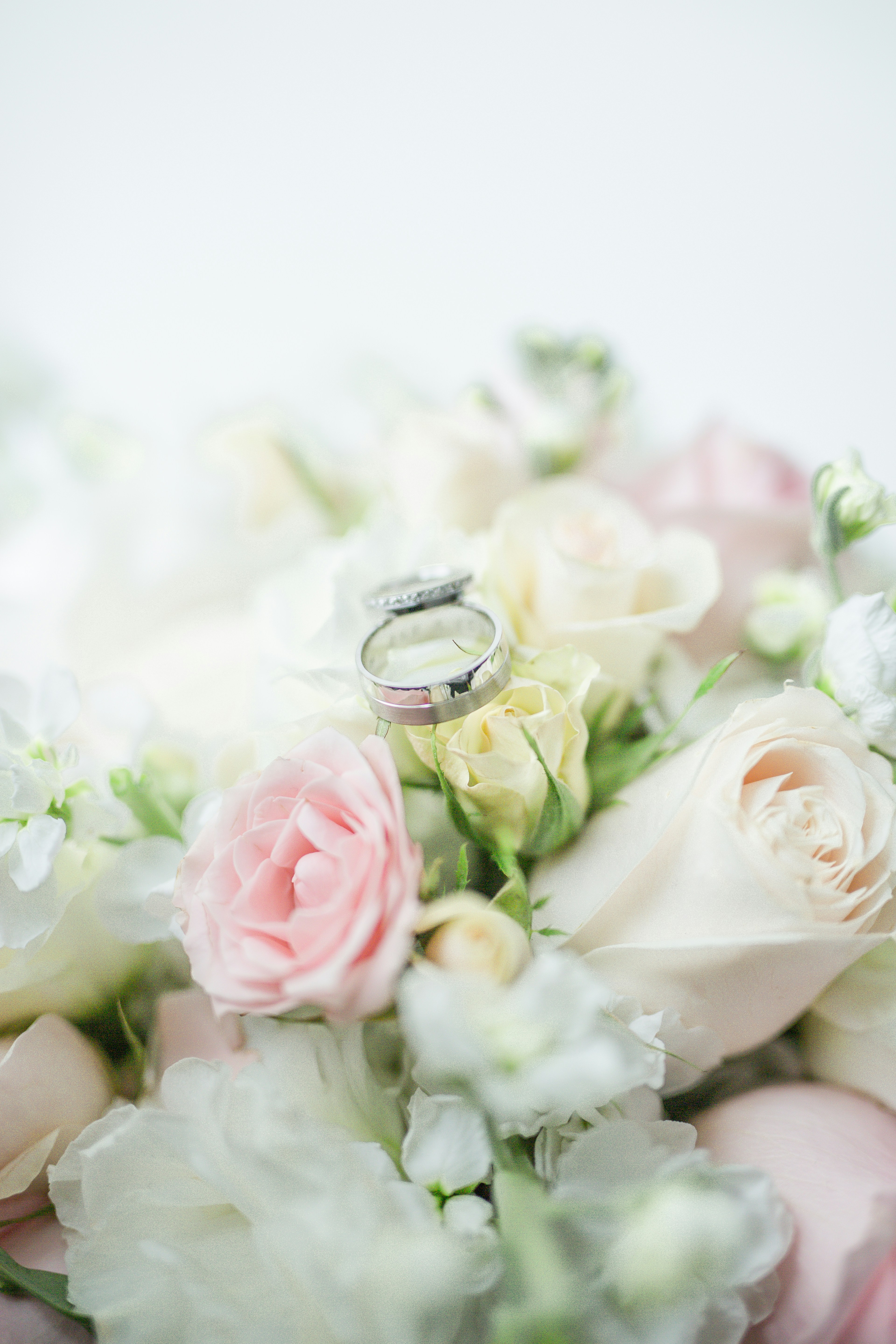 Fresh flowers