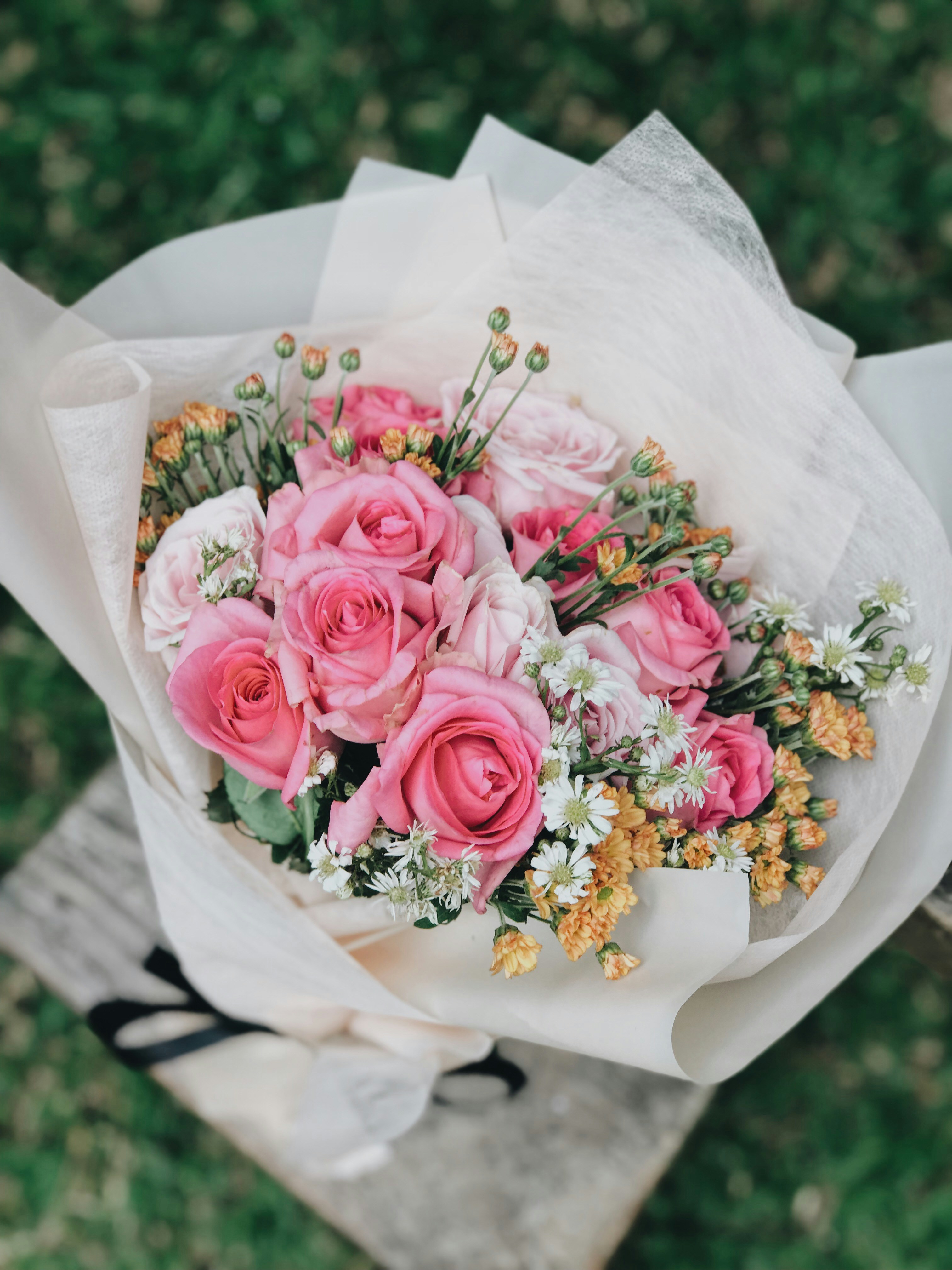 Summer blooms