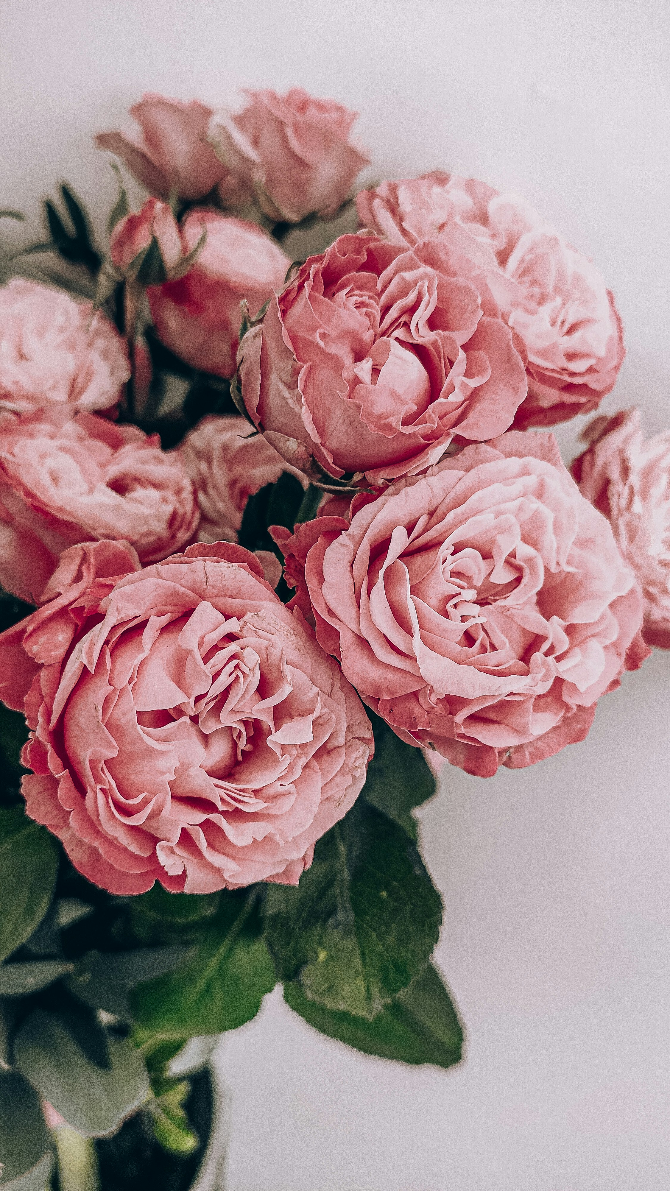 Order flowers