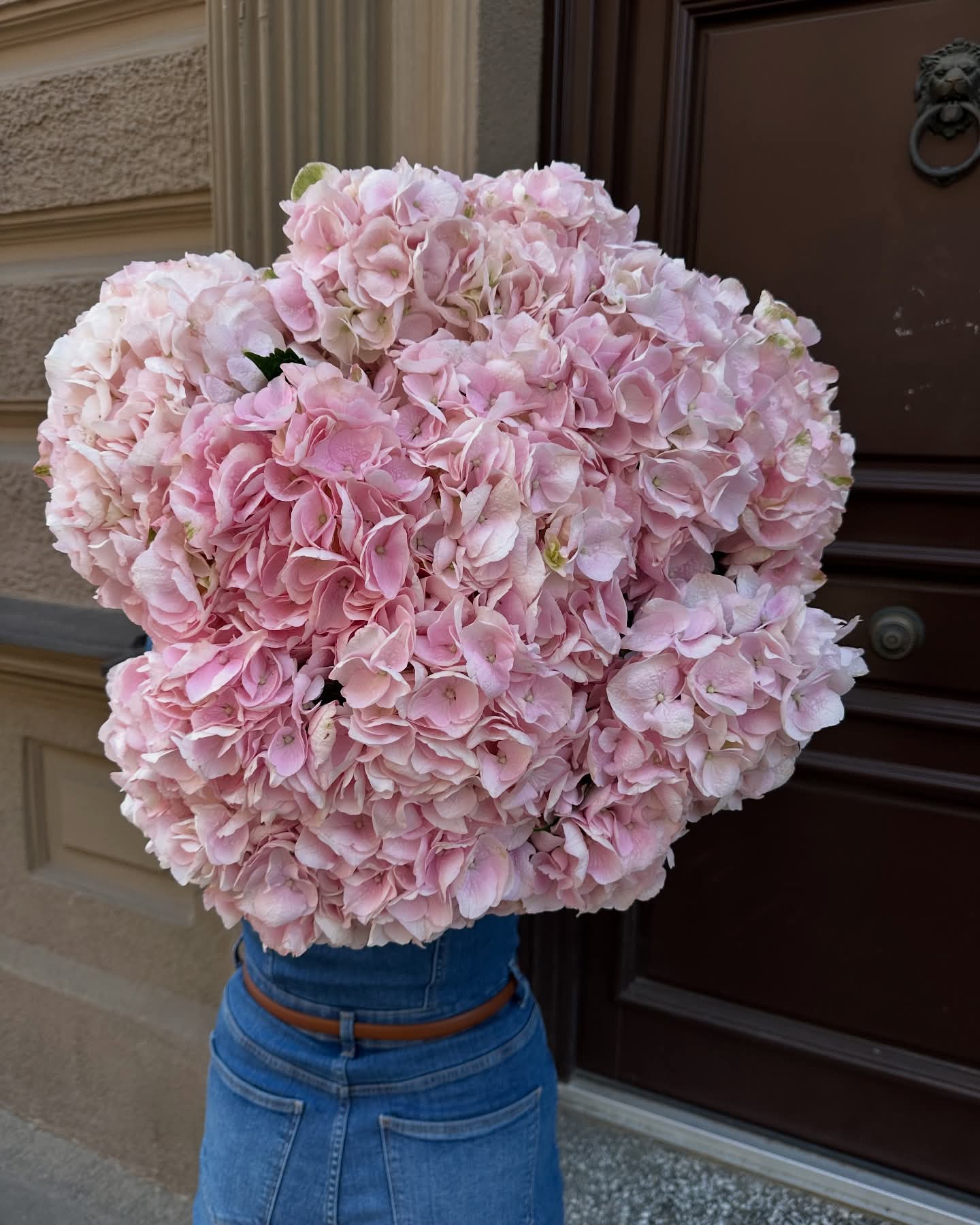 Bouquet of Pink Hydrangeas