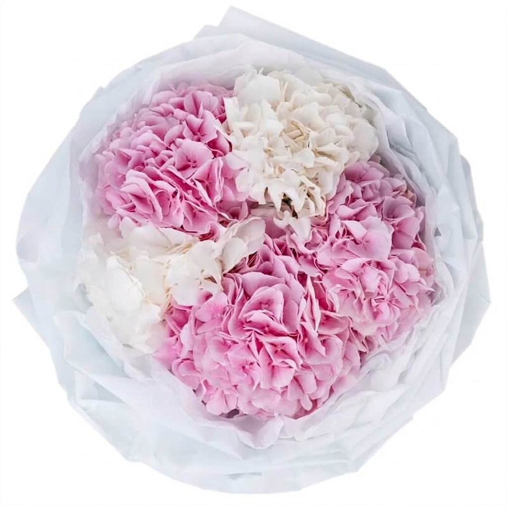 Bouquet of Pink-White Hortenzy