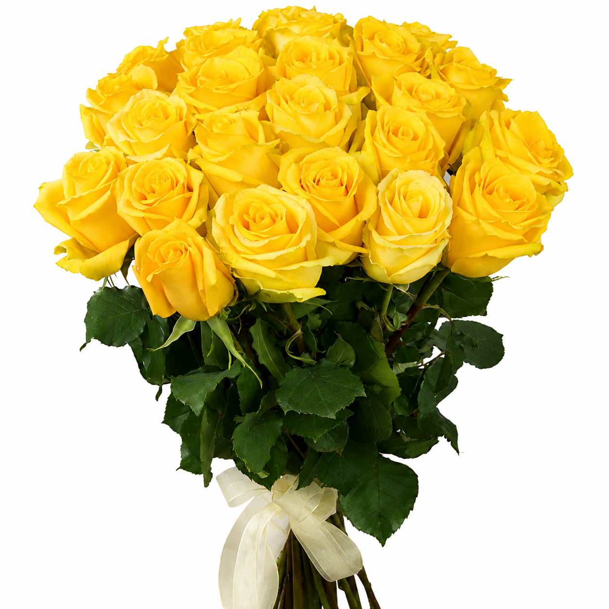 Yellow Roses 70cm