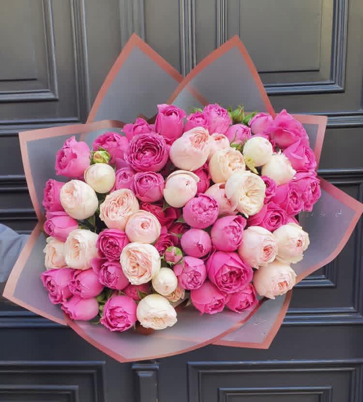 Pink & Cream Peonies